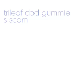 trileaf cbd gummies scam