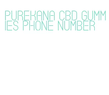 purekana cbd gummies phone number