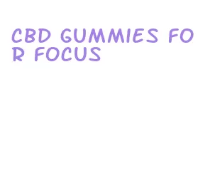cbd gummies for focus