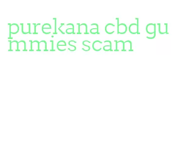 purekana cbd gummies scam